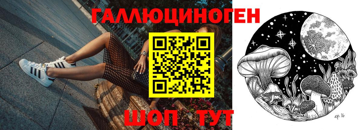 закладки  Вход с VPN  Шахты  Галлюциногенные грибы Cubensis 
